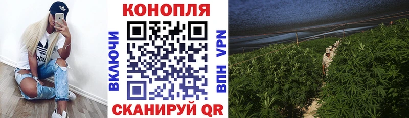 ГАШИШ Козьмодемьянск