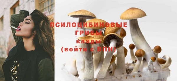 метадон Аркадак